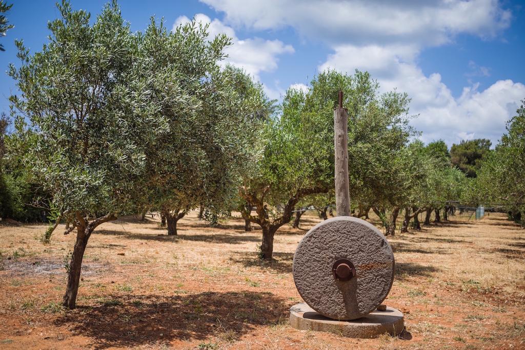 Vrysomylos Vromonérion Exteriör bild